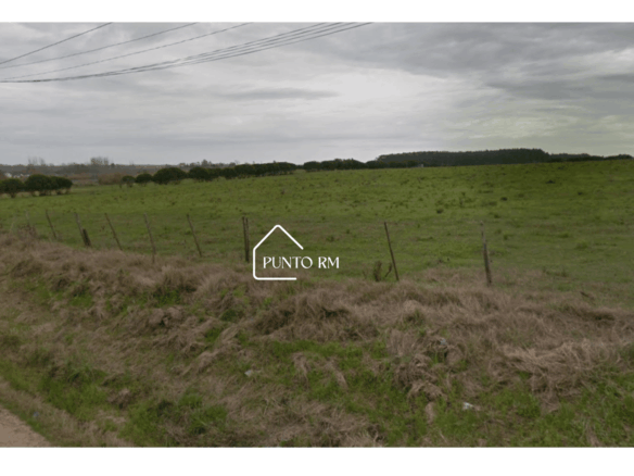 TERRENO EN COLONIA NICOLICH (ID V-131)